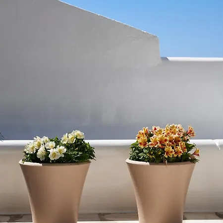 Ferienhaus Lily Mykonos Mykonos Town