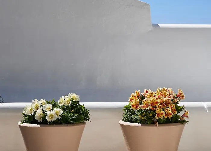 Дом отдыха Lily Mykonos Mykonos Town