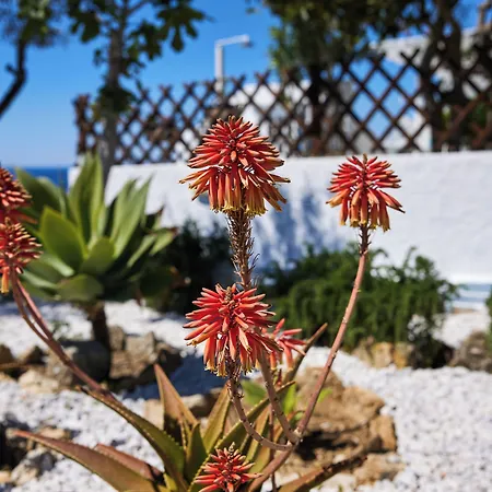 Сasa de vacaciones Lily Mykonos *